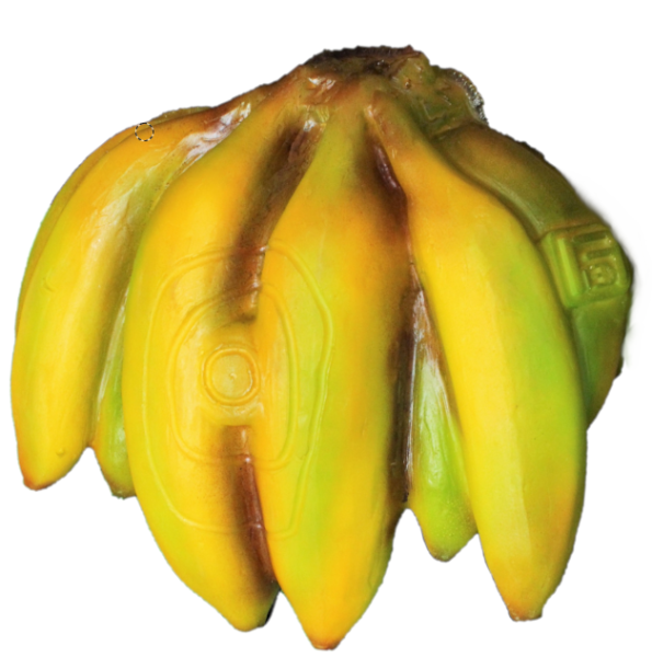 BananeStaude.jpg