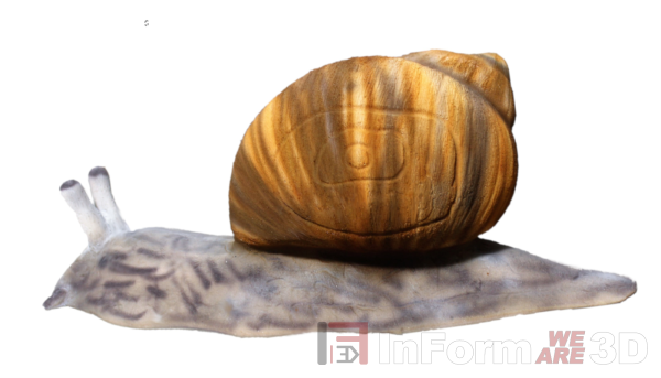 Schnecke_001_res.png